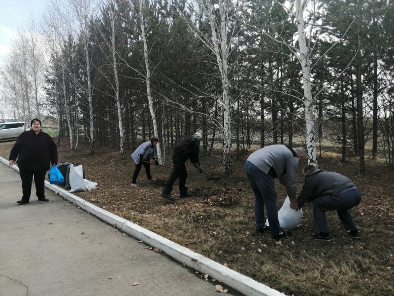 Первый субботник апреля прошёл на территории ВДИПИ